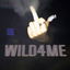 Wild for me cover