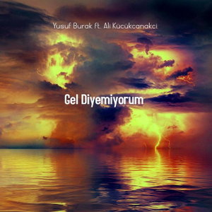 Gel Diyemiyorum