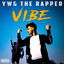 Vibe cover