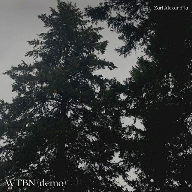 WTBN - Demo