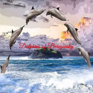 Dolphins of Beryozovsky