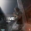 Strive cover