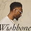 Wishbone cover