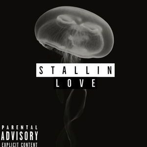 Stallin Love