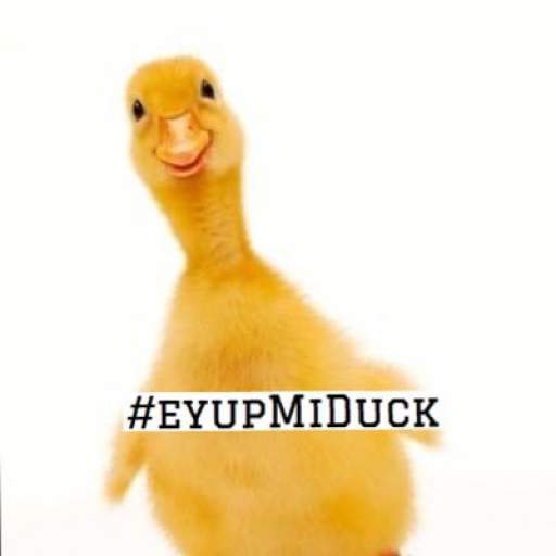 eyupmiduck profile